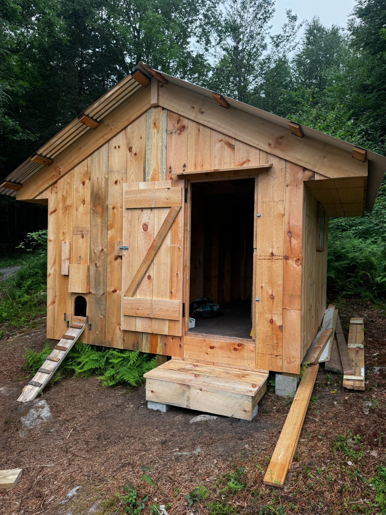 Custom chicken coop and outbuilding